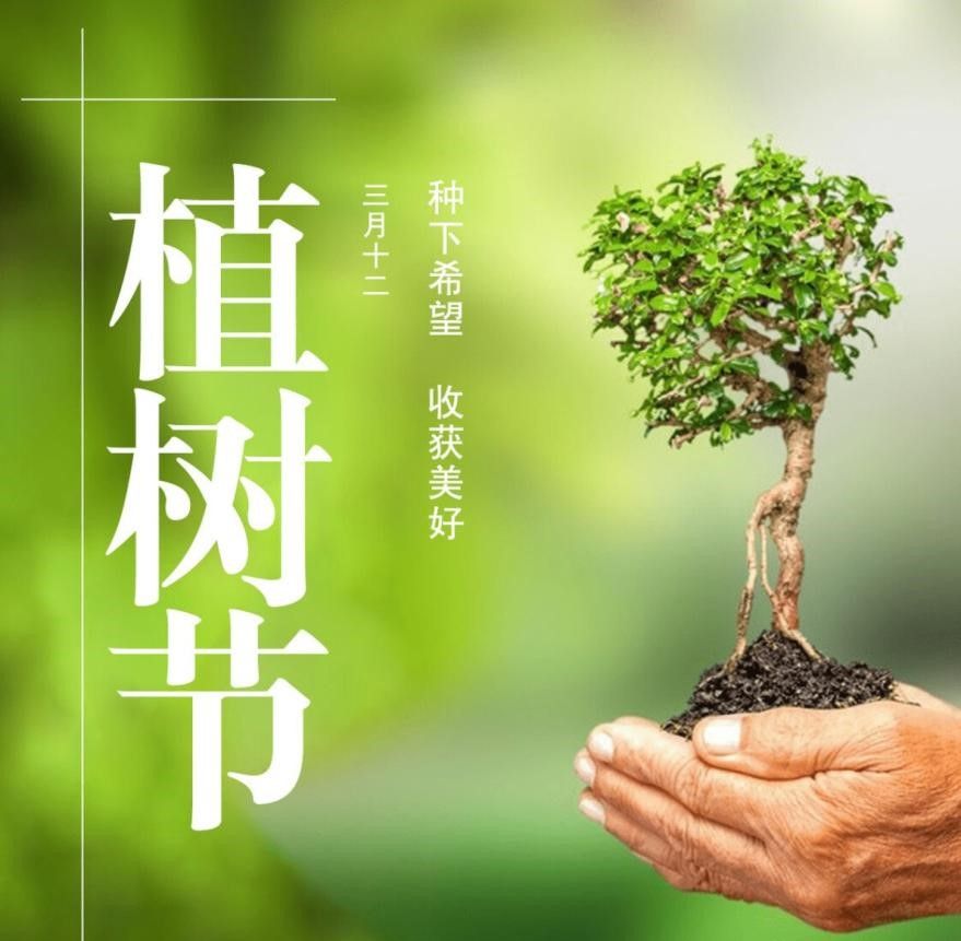 【经管校】“易”报道——植树节 - - 中职易班 学生互动社区